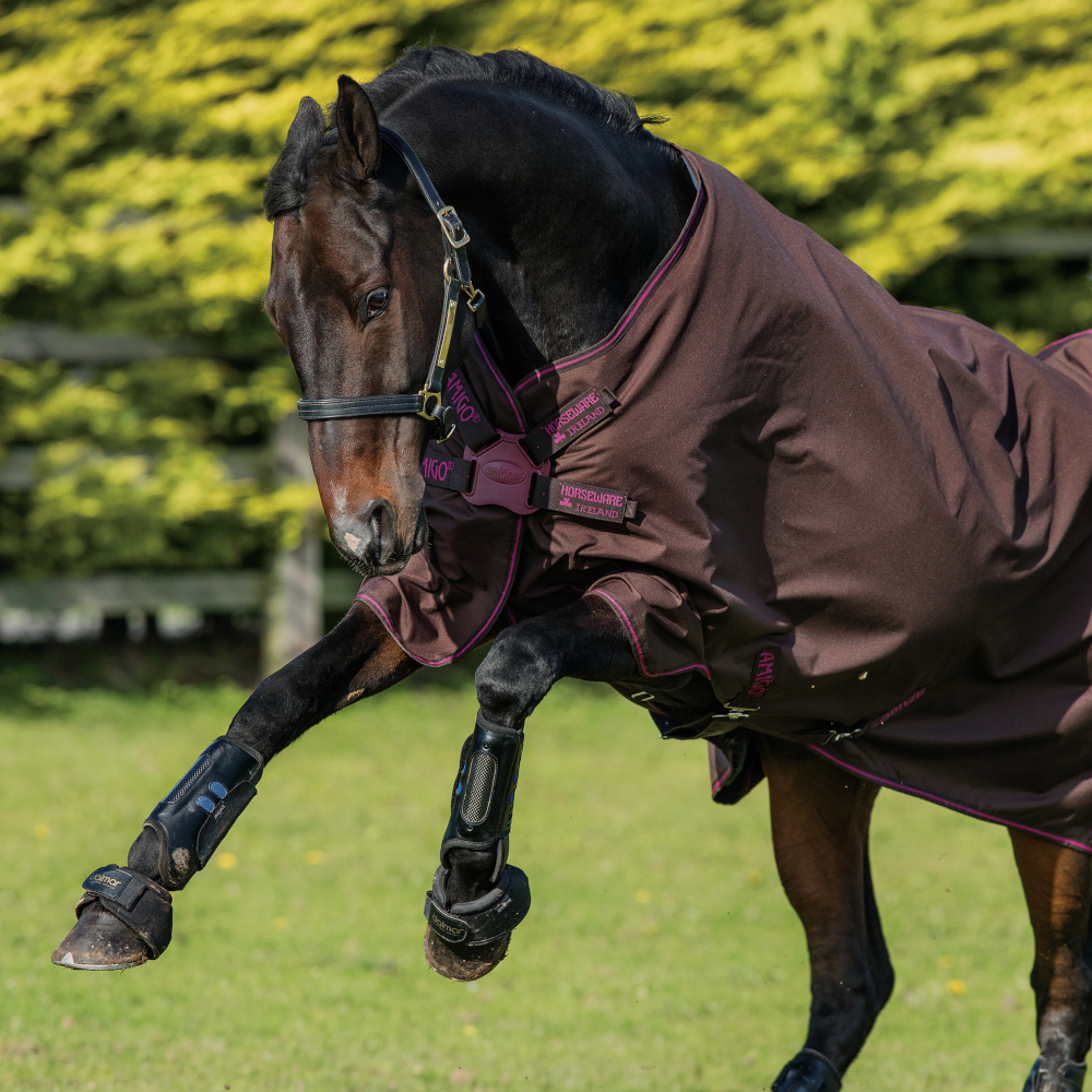 Horseware Amigo Hero 900 Turnout Lite DISC 50g Choc/Rasp HorSeven
