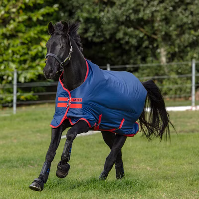 Horseware Mio Turnout Medium 200g - Dark Blue & Red