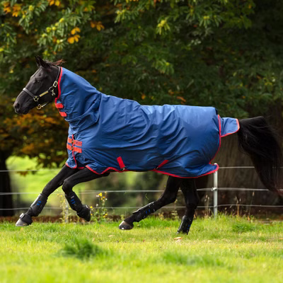 Horseware Mio All-In-OneTurnout 350g - Dark Blue & Red
