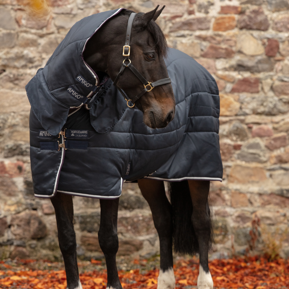 Horseware Amigo Insulator All-in-One Medium 200g – Navy/Purple,White & Silver Horseware Amigo Insulator All-in-One Medium 200g – Navy/Purple,White & Silver