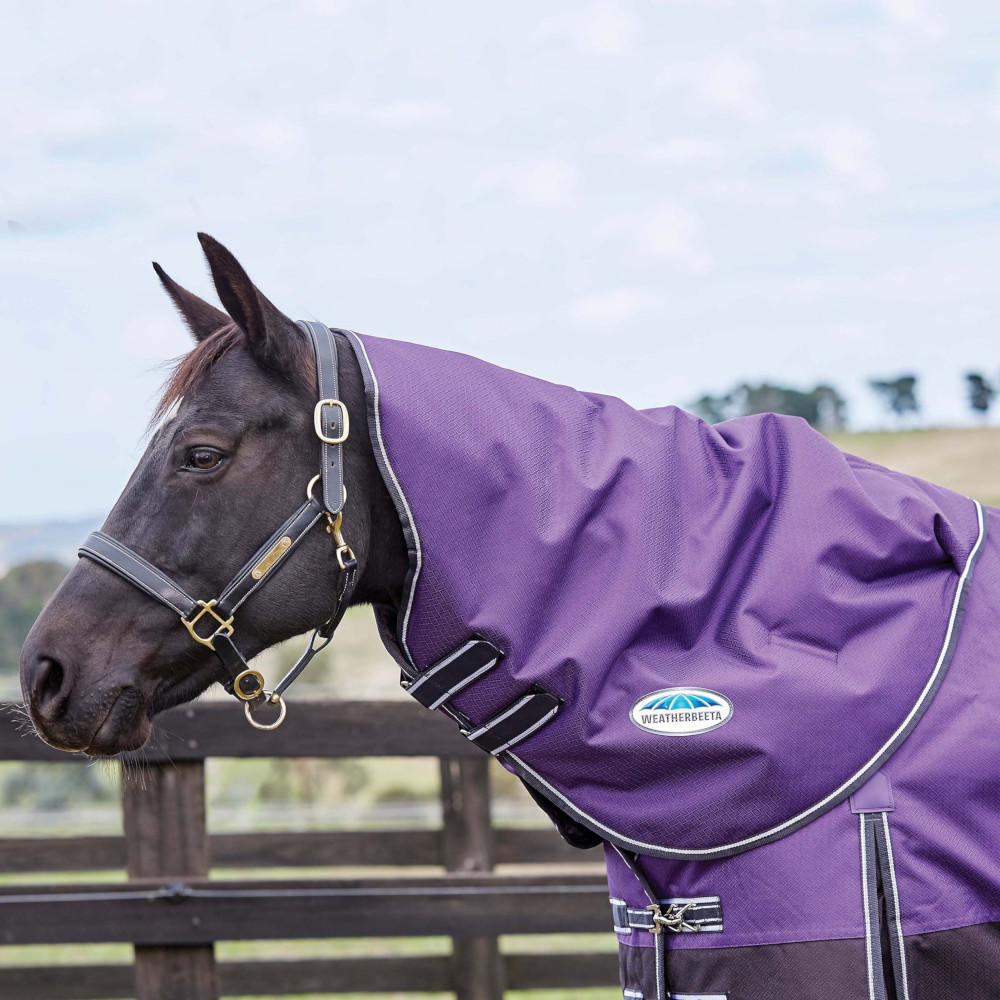 Meilleurs prix pour Weatherbeeta ComFiTec Plus Dynamic Neck Rug Medium 220g -...