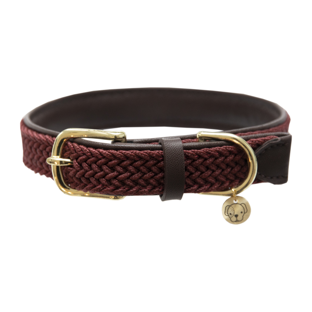 Comparer les prix de Collier pour chien en nylon tressé Kentucky