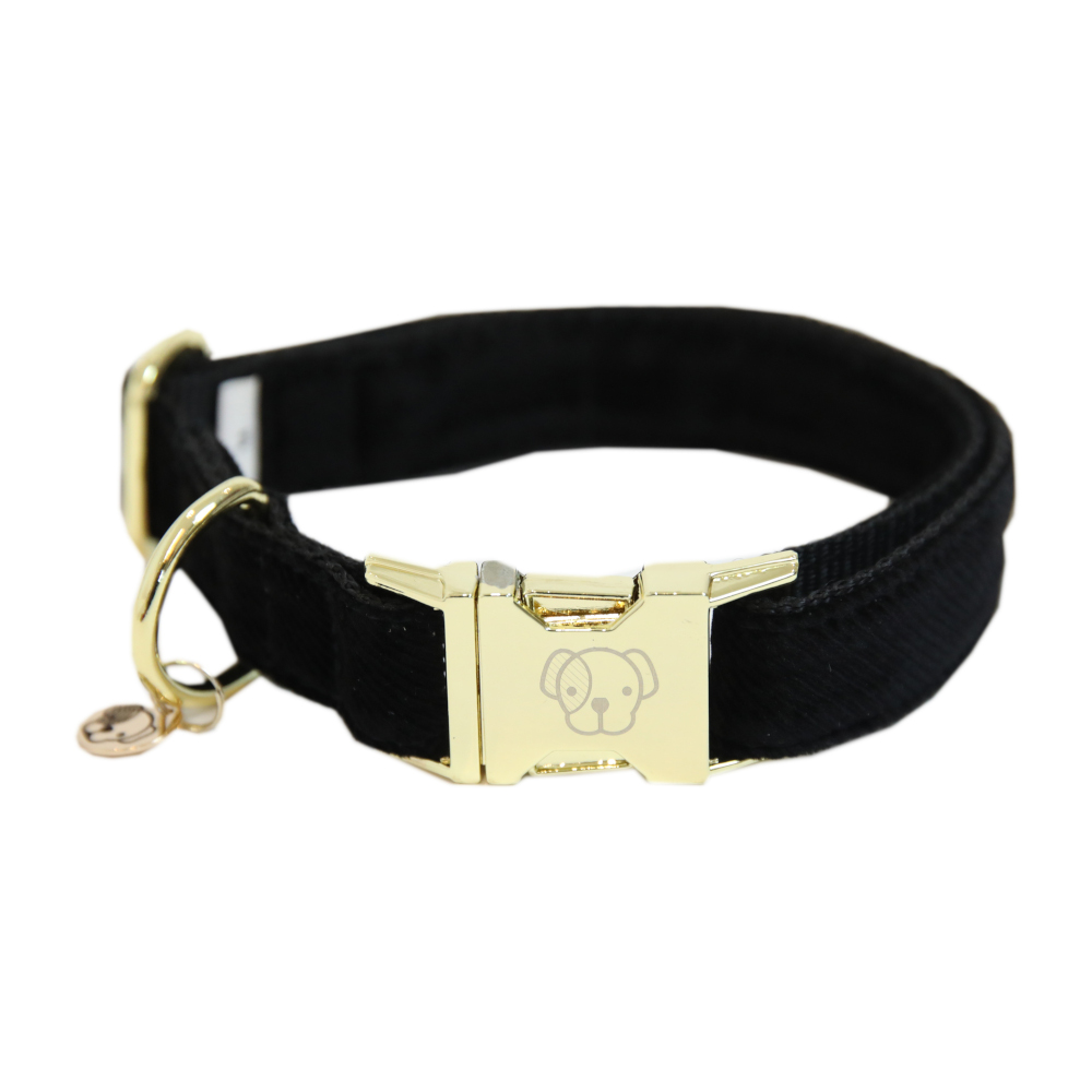 Meilleurs prix pour Kentucky Dogwear collier Dog Collar "Corduroy" - Noir