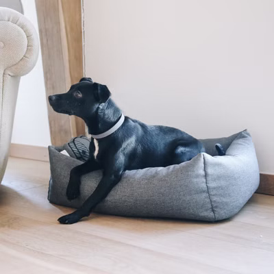 Kentucky Dogwear Hundebett Dog Bed 