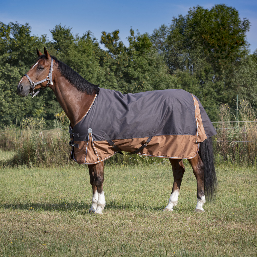 Comparer les prix de Equithème  Tyrex 600D „AISANCE“ 300g - gris/marron