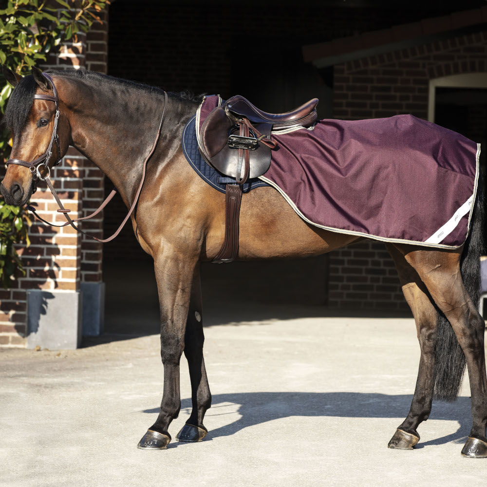 Horseware Amigo Ripstop Competition Sheet – Fig/Navy Horseware Amigo Ripstop Competition Sheet – Fig/Navy