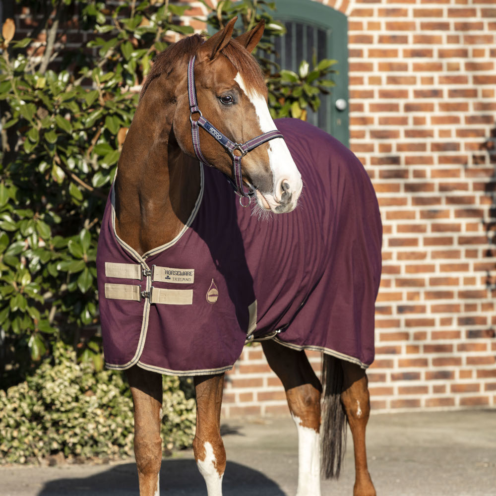 Comparer les prix de Horseware Amigo Stable  Sheet 0g - Violet/Marine