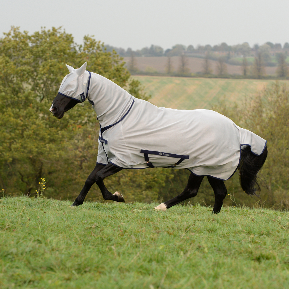 Comparer les prix de Bucas Freedom Fly Sheet Full Neck PONY - Argent