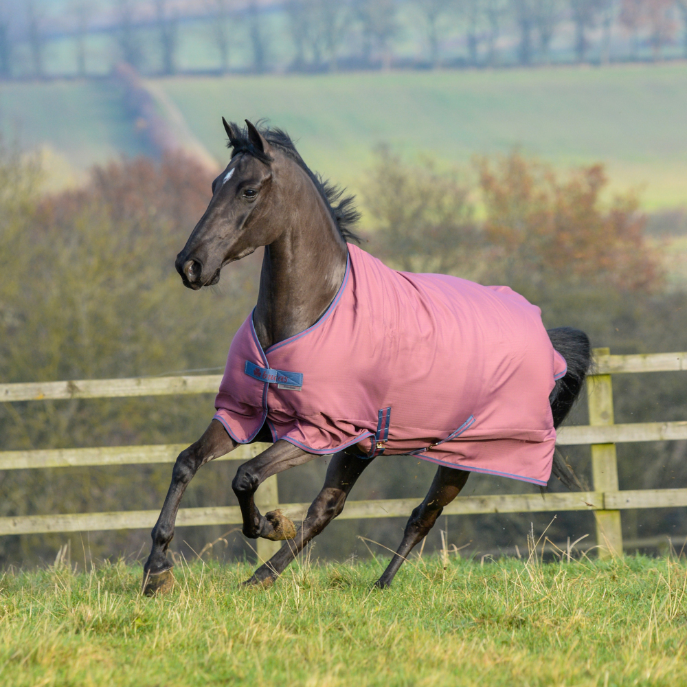 Bucas Freedom Turnout Light 0g Ginger/Navy HorSeven