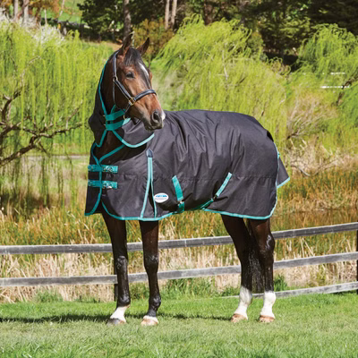 Weatherbeeta Green-Tec 900D Detach-A-Neck Lite Plus 50g - black/bottle green