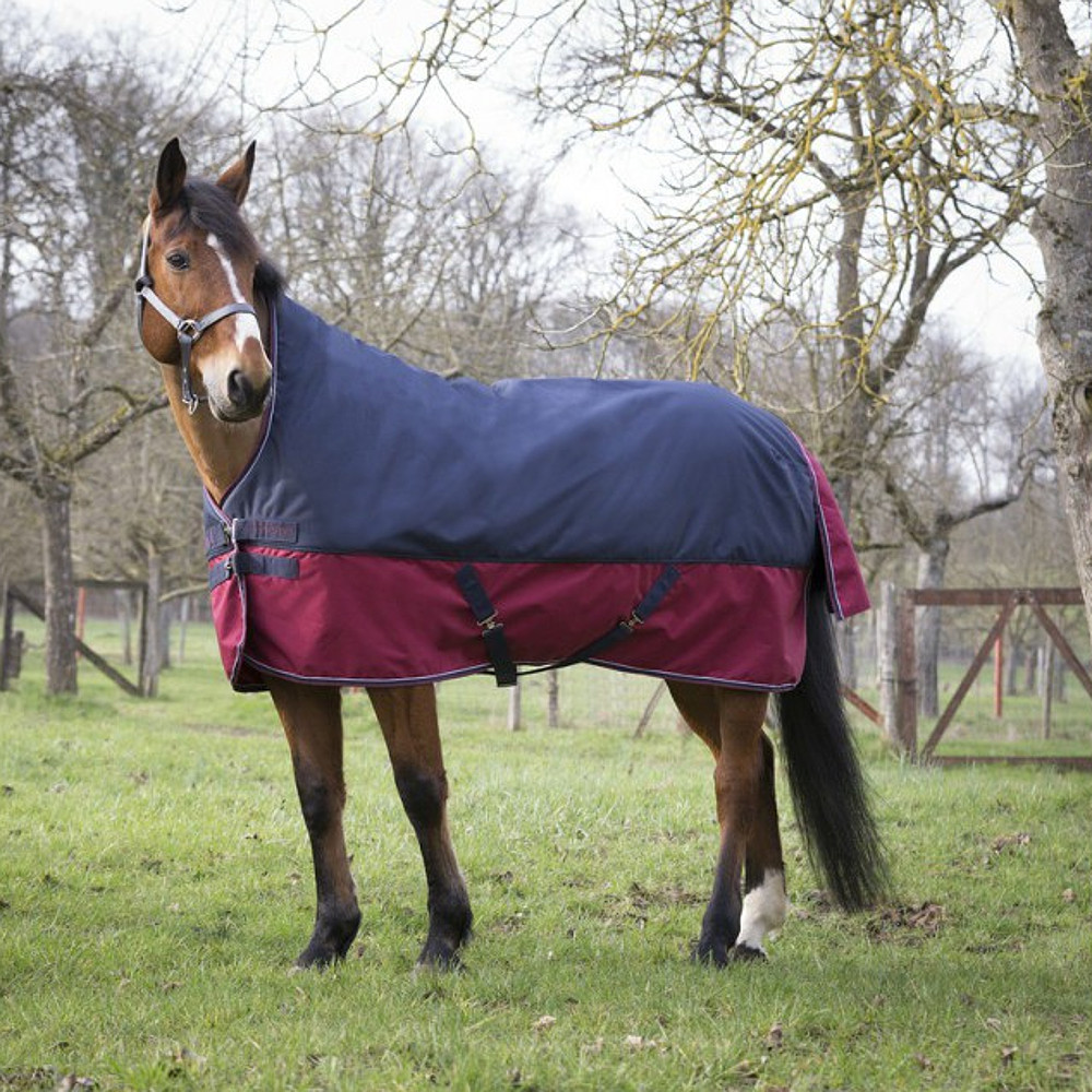 Meilleurs prix pour Equithème Tyrex 1200D 0g avec coupe haute - marine/bordeaux