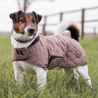 Back on Track Haze Collection Hundemantel - braun