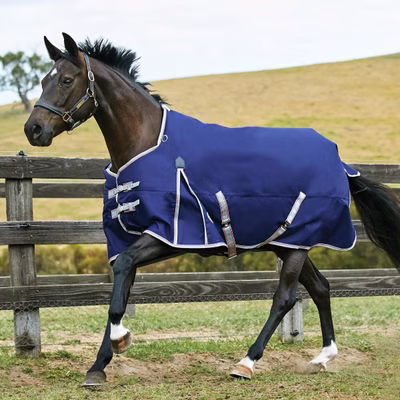Weatherbeeta Comfitec Essential Standard Medium 220g - navy/silver/red