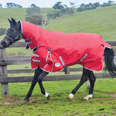 Weatherbeeta Comfitec Classic Combo Heavy 300g - red/silver/navy
