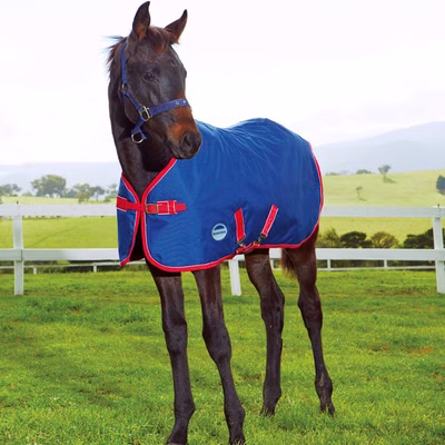 Weatherbeeta Fohlendecke 1200D Standard Medium II 220g - navy/red/white