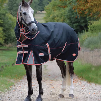 Weatherbeeta Comfitec Premier mit Therapy-Tec Detach-A-Neck Medium 220g - black/silver/red
