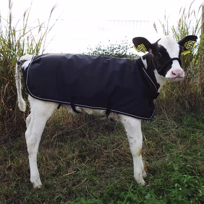 Weatherbeeta Kuhmantel - black