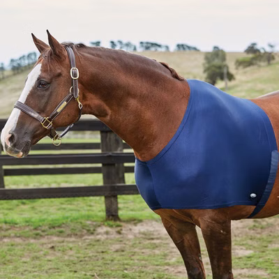 Weatherbeeta Stretch Schulterschutz - navy