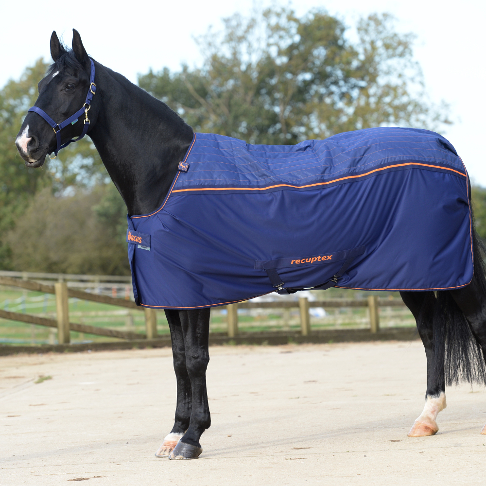 Bucas Therapy Cooler Big Neck – Navy/Orange