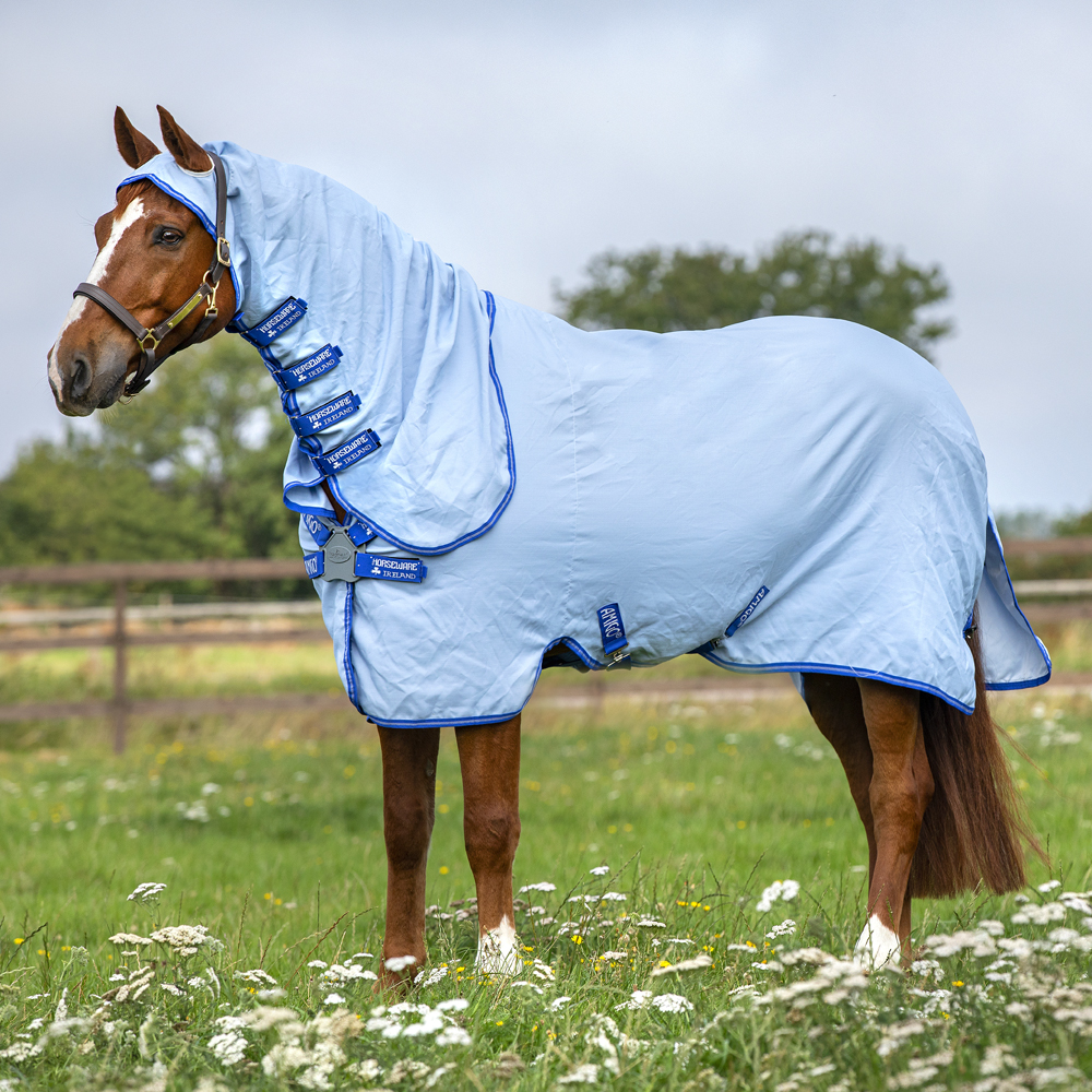 Comparer les prix de Horseware Amigo Ripstop Hoody - Bleu azur