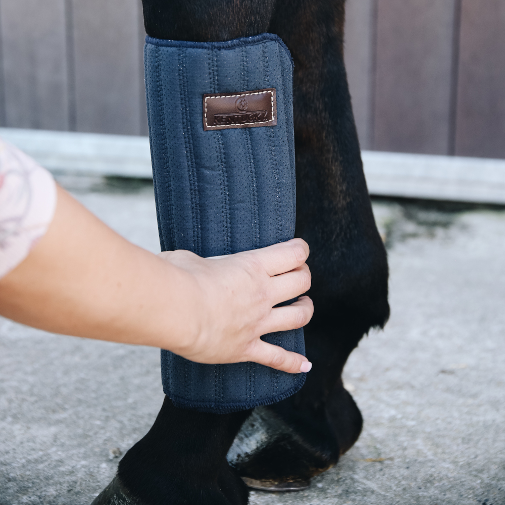 Meilleurs prix pour Sous bandes de travail pour cheval Kentucky absorb