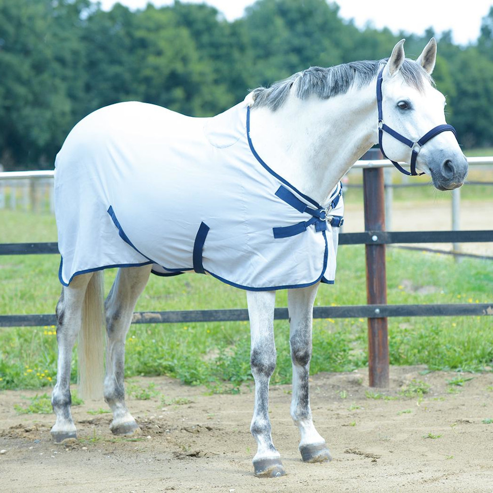 Busse Sommerdecke EARLY SEASON – hellgrau/navy