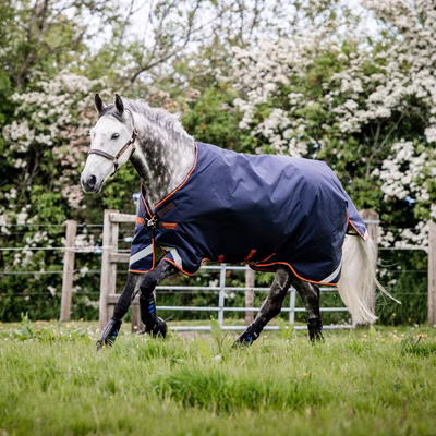 Horseware Rambo Original with Leg Arches Turnout 100g - Navy/Orange