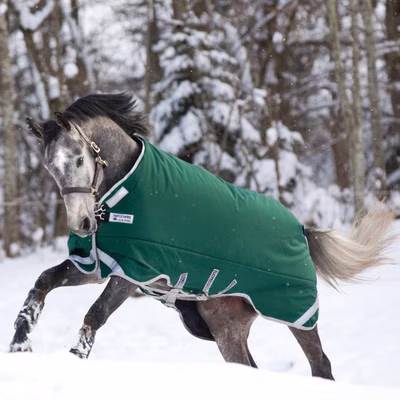 Horseware Rambo Original with Leg Arches Turnout Heavy 400g - Green/Silver