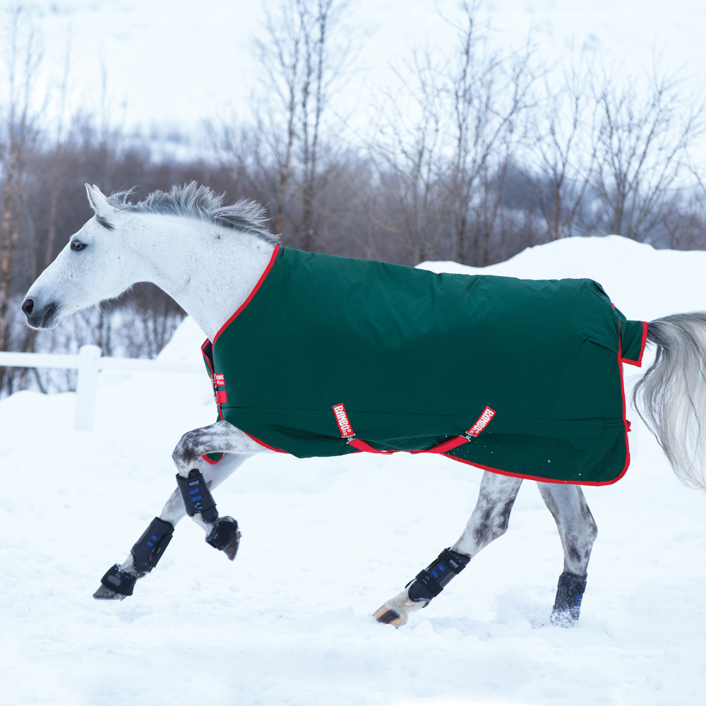 Horseware Rambo Original Turnout Heavy 400g – Green/Red