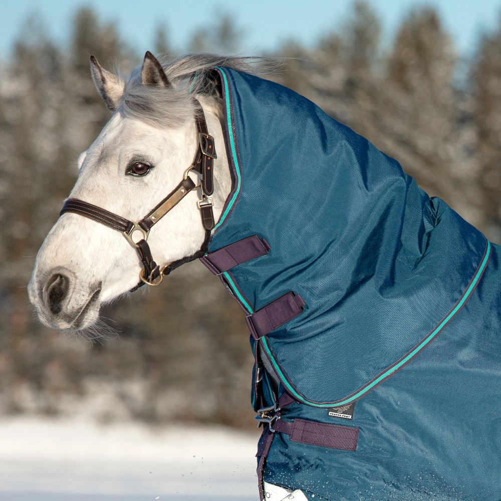 Comparer les prix de Horseware Rhino Turnout Hood 150g - Marine/Gris