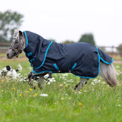 Horseware Amigo Hero 6 Petite Plus Turnout Medium 200g - Navy/Electric Blue