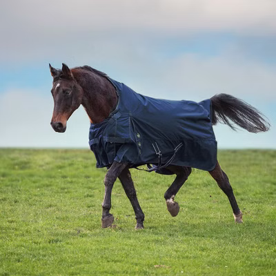 Imperial Riding MOVEITMOVEIT 300g - navy