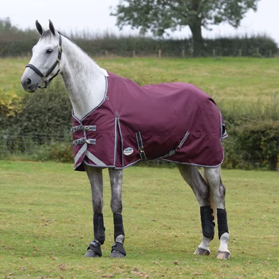 Weatherbeeta Comfitec Plus Dynamic II Standard Medium 220g - maroon/grey/white
