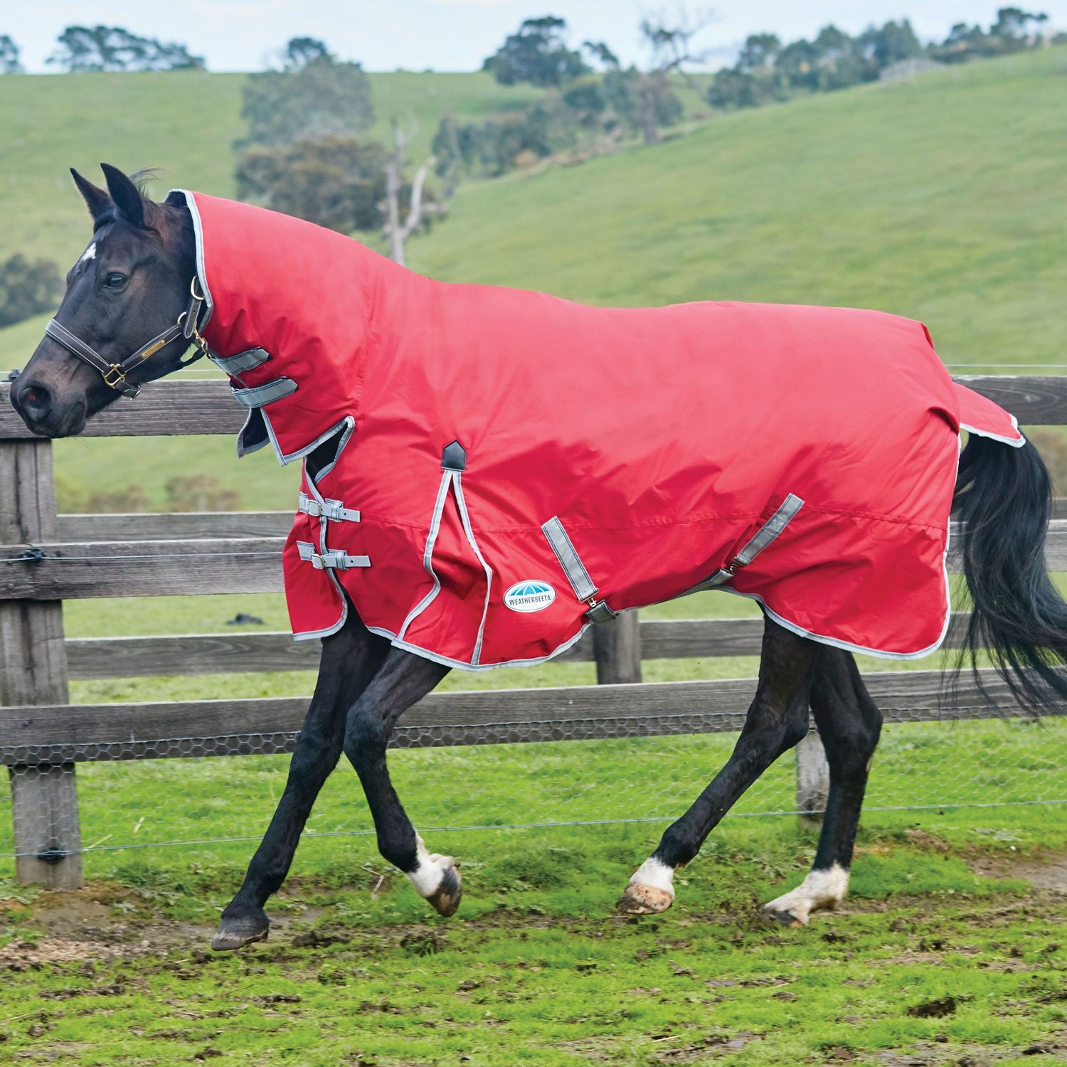 Meilleurs prix pour Couverture d'extérieur pour cheval couvre-cou Weatherbeeta Comfitec Classic 100g