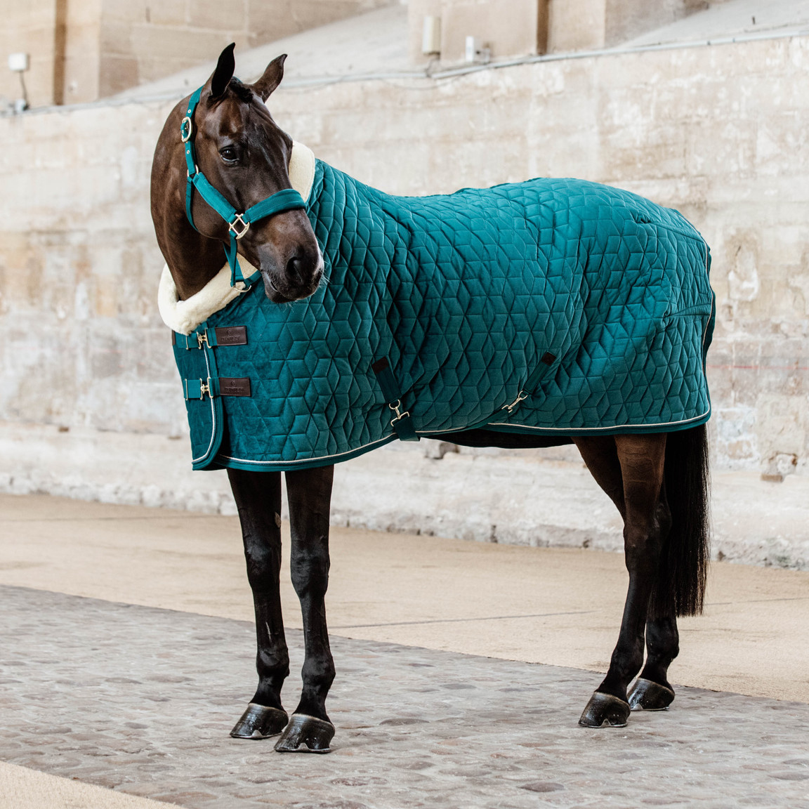 Kentucky Horsewear Turnierdecke Samt 160g Tiny - Smaragd