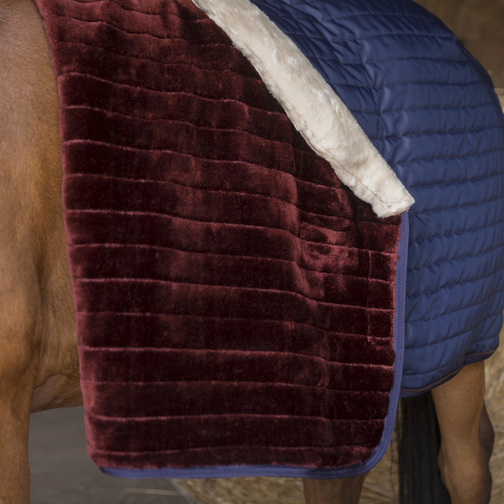 Meilleurs prix pour Couverture pour cheval Equithème Teddy 0g