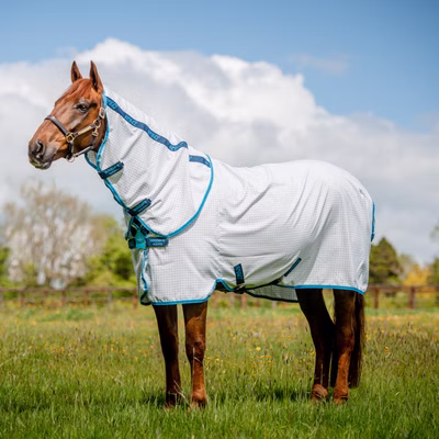 Horseware Amigo Aussie Allrounder Disc Front