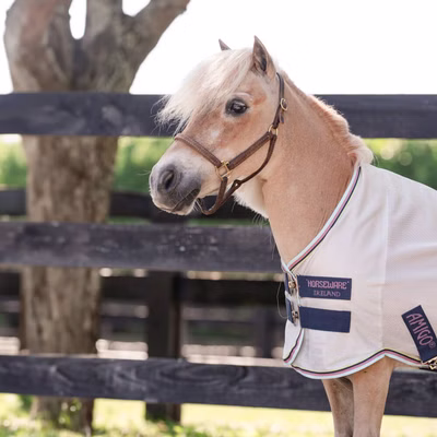 Horseware Amigo Bug Rug Plus Petite