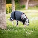 hundebett hochwertig Orthopdisches Hundebett waschbar aus Hanf-Naturfaser  milbenresistent &  antiallergen