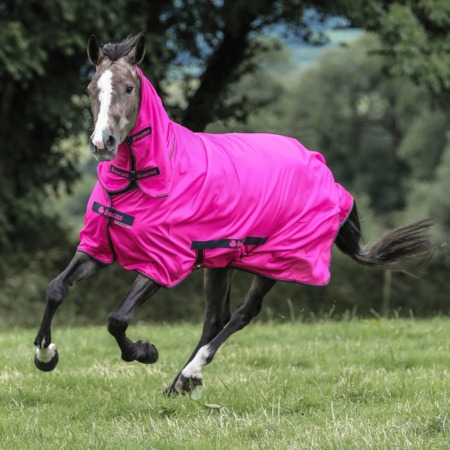Bucas Freedom Fly Sheet Full Neck