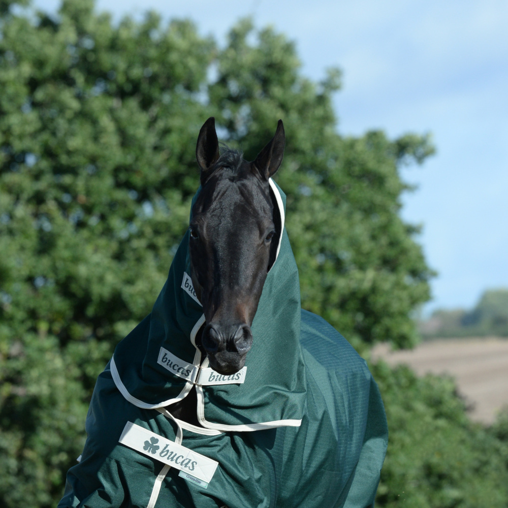 Comparer les prix de Bucas Greenline Neck 50g