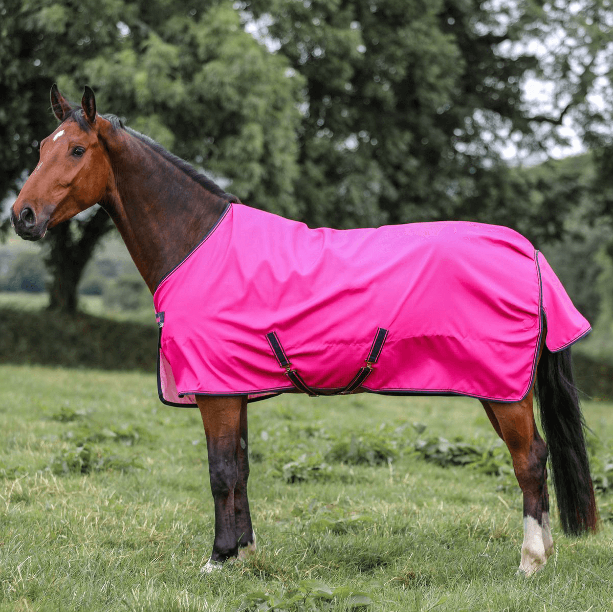 Bucas Freedom Turnout Light 0g