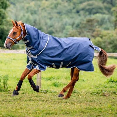 Horseware Amigo Bravo 12 Plus Turnout Medium  250g