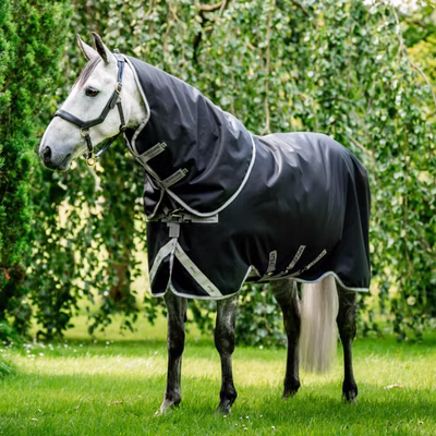 Horseware Amigo Bravo 12 Plus Turnout Medium  250g
