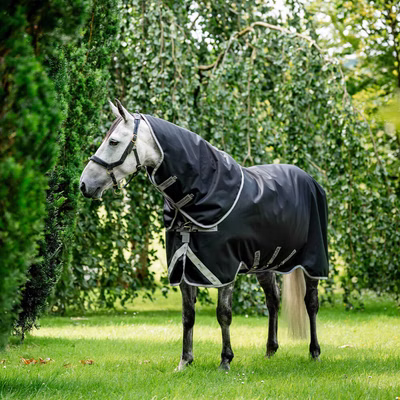 Horseware Amigo Bravo 12 Plus Turnout Heavy 400g