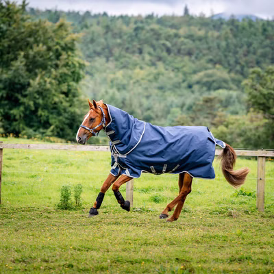 Horseware Amigo Bravo 12 Plus Turnout Heavy 400g