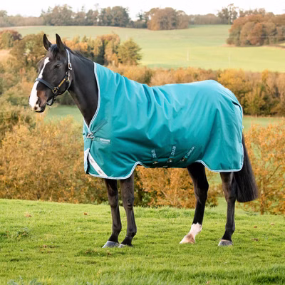 Horseware Amigo Bravo 12 Turnout Wug Medium 250g