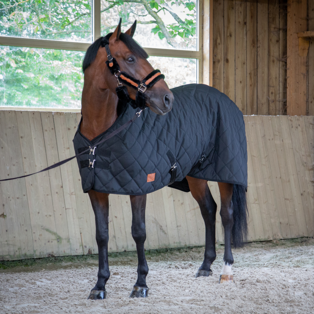 Comparer les prix de Couverture d'extérieur pour cheval  matelassé Paddock Sports 50g