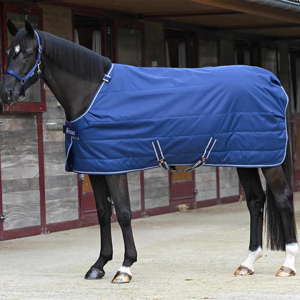 Comparer les prix de Couverture d'écurie pour cheval Bucas Quilt 50g