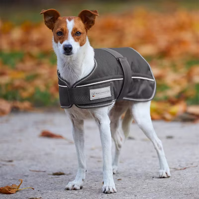 Waldhausen Hundedecke Comfort Line 200g